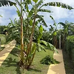 In Banani By Interhome