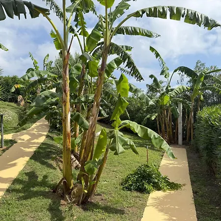 In Banani By Interhome